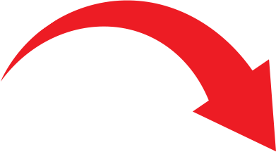 Seta